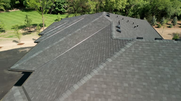 Best Roof Maintenance and Cleaning  in Neuse Forest, NC
