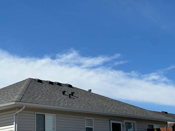 Best Solar Panel Roofing Installation  in Neuse Forest, NC
