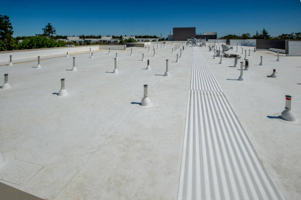 Best Commercial Roofing Services  in Neuse Forest, NC